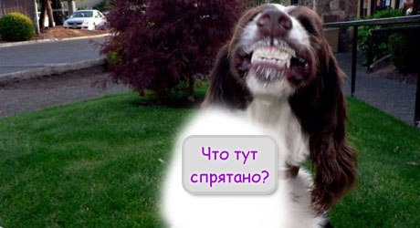 С.К.О.Р.П.Ы - Л.А.В.В.ИЛ.К.ИП.С.ФС